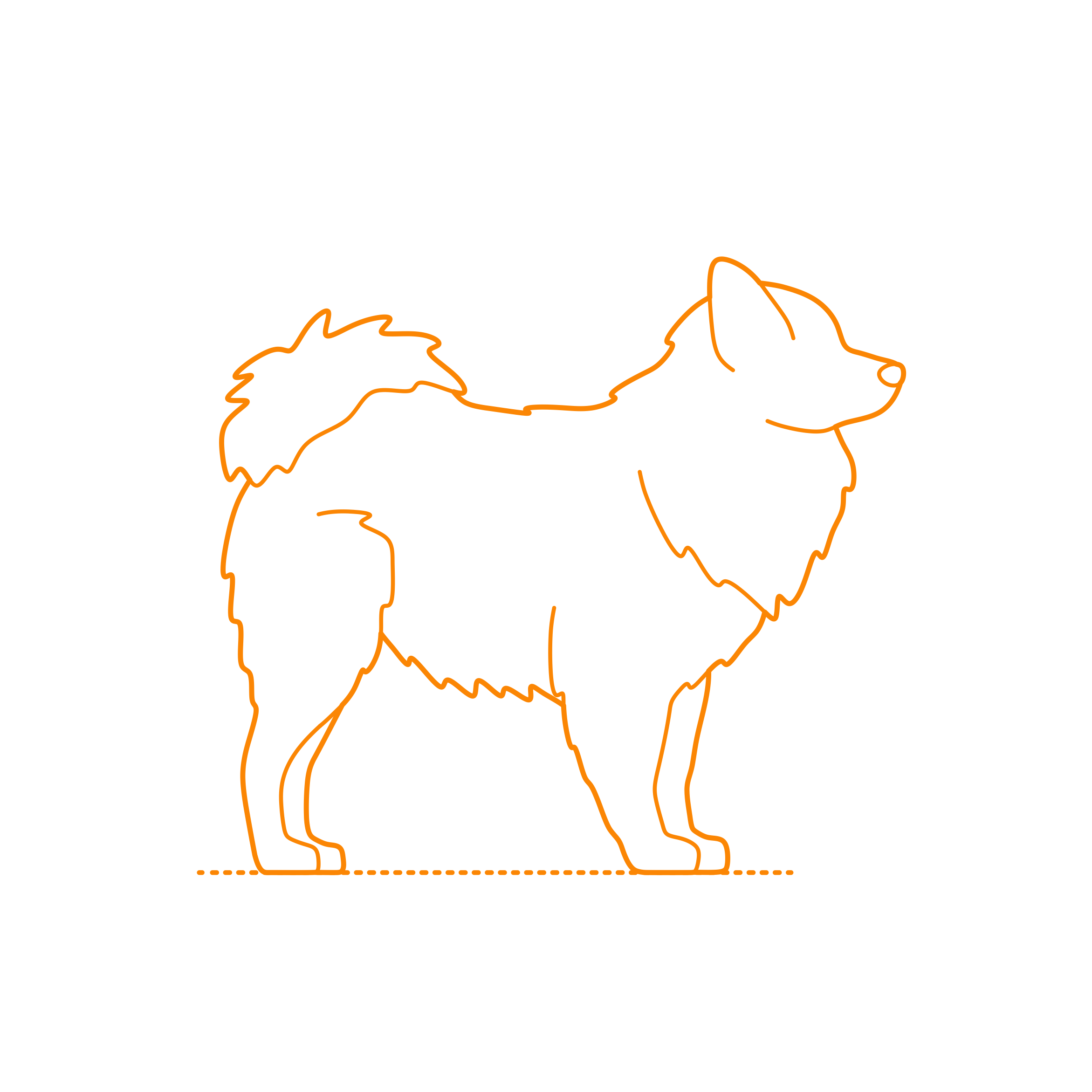 Animals Dogs Volpino Italiano Sketch Style Svg Vector Free Vectors